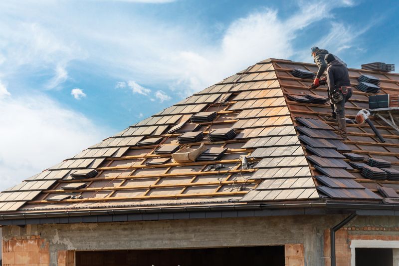 Professional Roofing Service